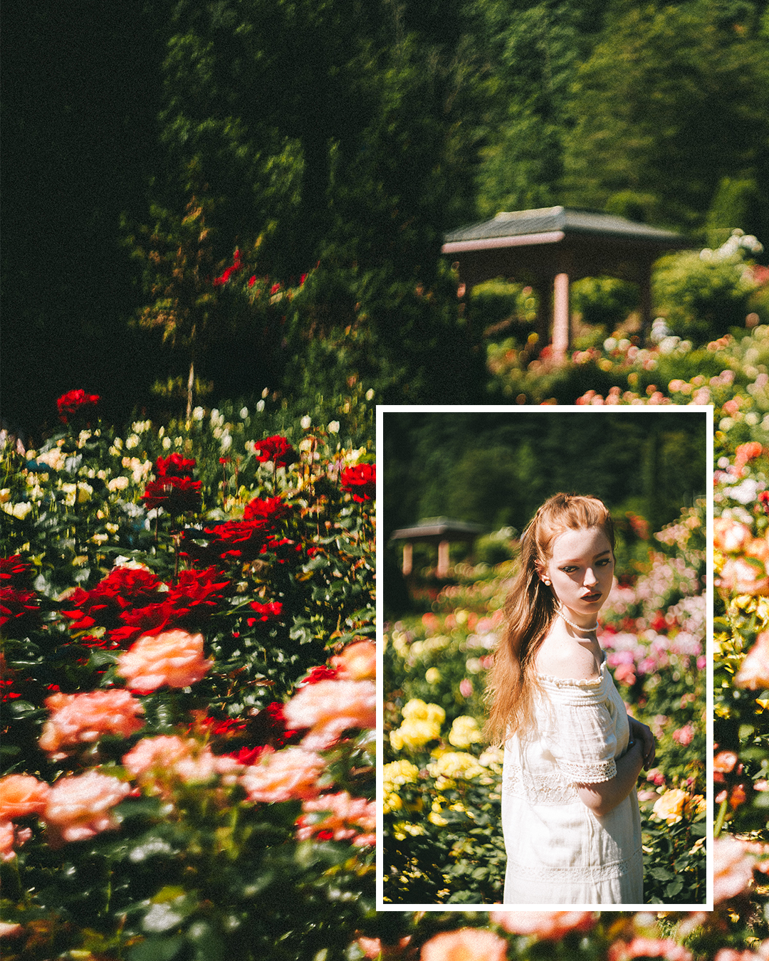 Creative Editorial Portraits at a Rose Garden in Portland — photograph 2 of 20